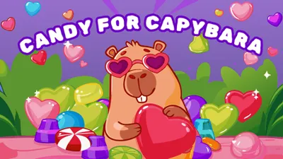 Candy for capybara banner