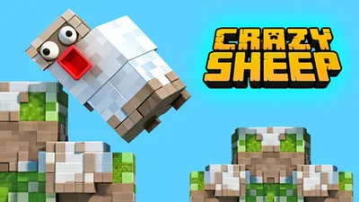 Crazy Sheep banner