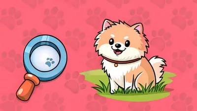 Find The Dog banner